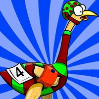 Big Birds Racing