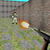 Game Thumb