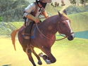 Juegos de Caballos
