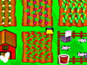Juegos de Campo