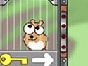 Juegos de Hamster