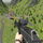Game Thumb