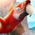 Game Thumb